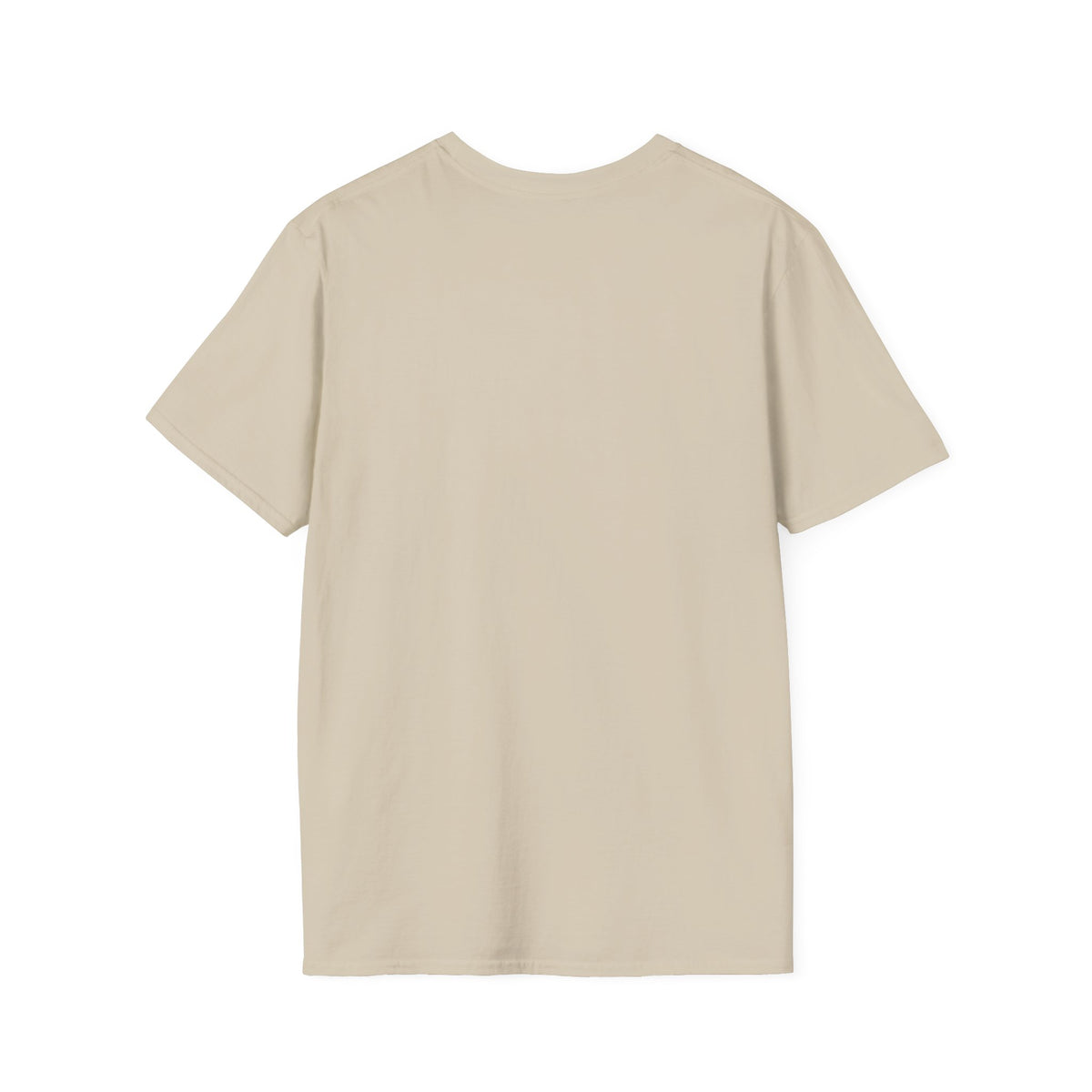 T-Shirt — "Today We Try Again" Retro Rainbow Positive Tee